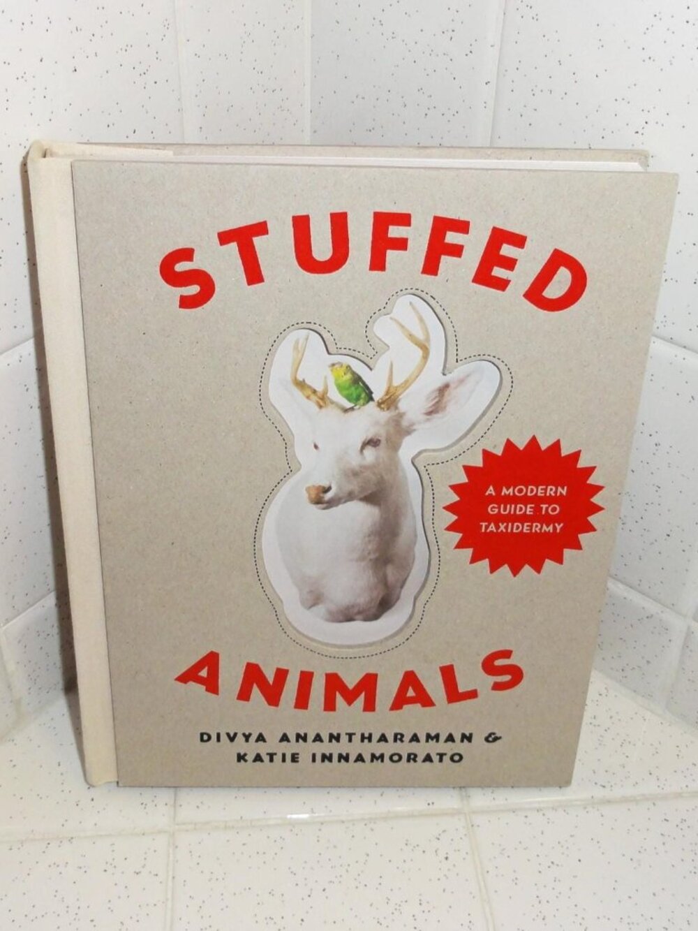 Vintage Stuffed Animals A modern Guide To Taxidermy Book oddity curiosity
